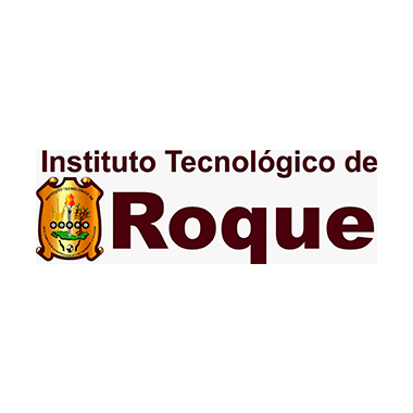 TECNOLÓGICO NACIONAL DE MÉXICO - CAMPUS ROQUE